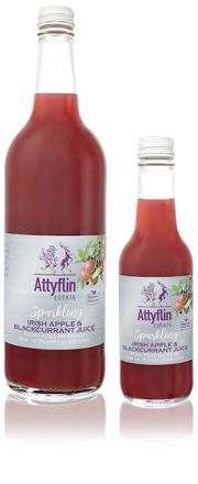 Sparkling Irish Apple & Blackcurrant Juice