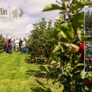 Pruning Apples and Tree Maintenance Course